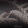 Unleashed: Shibari Performance Night